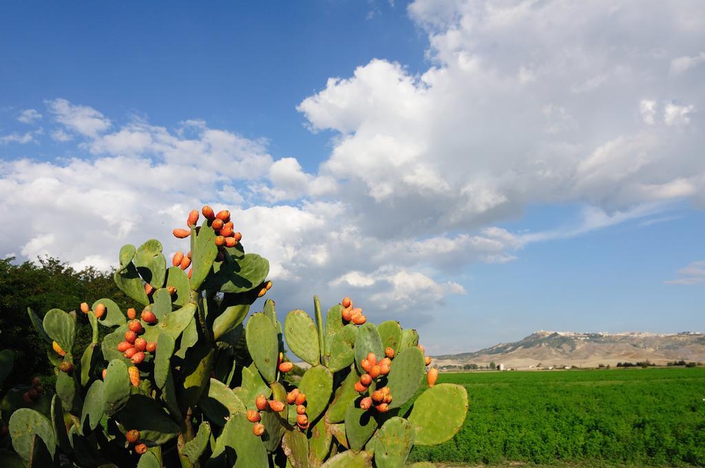 L'Orto Di Lucania Montescaglioso Quarto foto